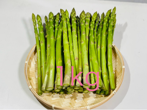 高評価の贈り物 今が旬‼️（L〜2L）2kg 混合 農家くんの春芽アスパラサイズ 野菜