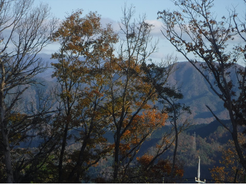 干し芋400ｇ（200g×2袋）自然栽培のべにはるか　発送日12/25頃より順次発送