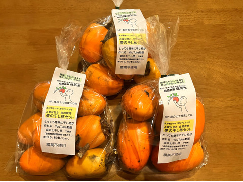 【翌日発送可能】 最高の干し柿が簡単に作れる 夢の干し柿づくりセット3kg入 乾物
