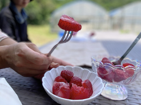 オーガニック冷凍あまおう200g※10個まで送料同じ(ヤマト60サイズ)※
