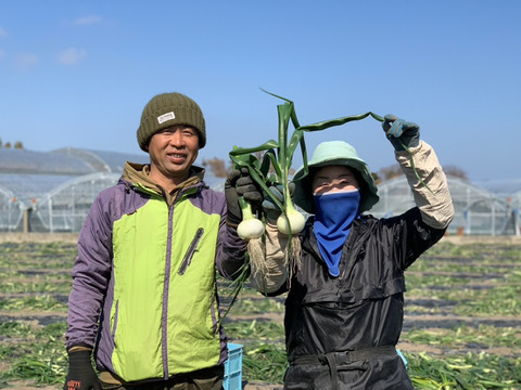 「真冬に届く、春の味」【超極早生玉ねぎ】