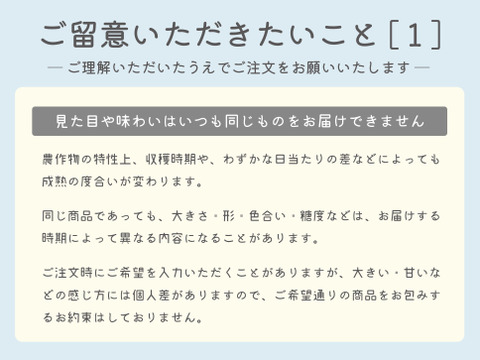 ［訳あり＆加工向け］2023/10/24収穫分・行き先を失ってしまうシャインマスカット（計２ｋｇ以上）＊常温発送