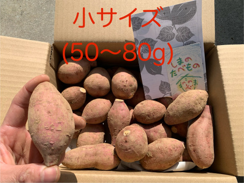甘味あふれるオーガニック安納芋・小サイズ(かわいいミニ焼き芋に)箱込み2kg・種子島産