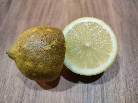 【C級品・2kg】瀬戸田産レモン