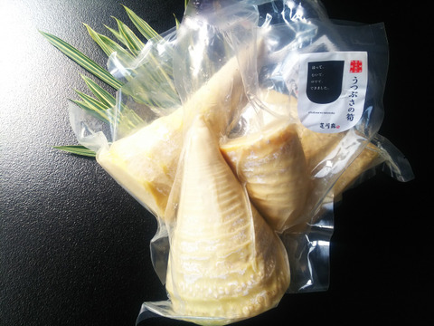 『タケノコ真空パック＆ちりめん山椒2個セット』限定商品！