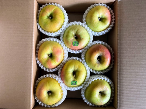 【ぐんま名月家庭用３キロ】🍏おうちりんご🍏ジューシー青森特産青りんご🍏