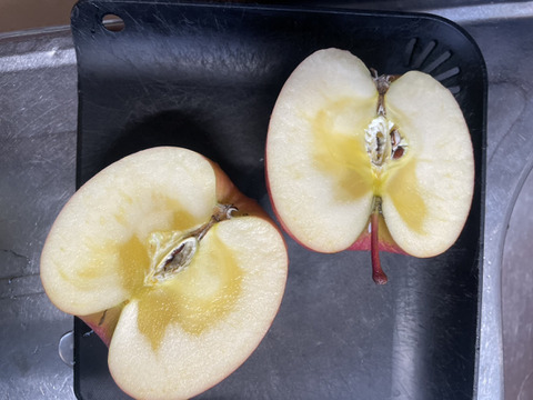 すぐ発送！5キロ 16-20 蜜入チェック済！樹上完熟蜜入葉取らずサンふじ　農薬半減栽培で安心安全