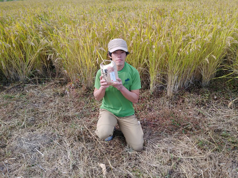 【2024年産】自然栽培のお米『旭（あさひ）』白米２ｋｇ