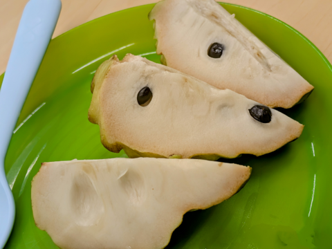 訳あり！？甘くて体に嬉しい！熊本県産アテモヤ（約１ｋｇ）