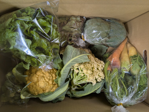 ❄☃️５品冬の野菜セット☃️❄