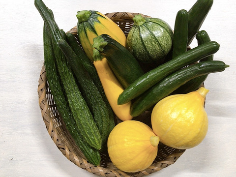 夏野菜の３種セット　コリンキー・きゅうり・ズッキーニ【栽培期間中農薬不使用】