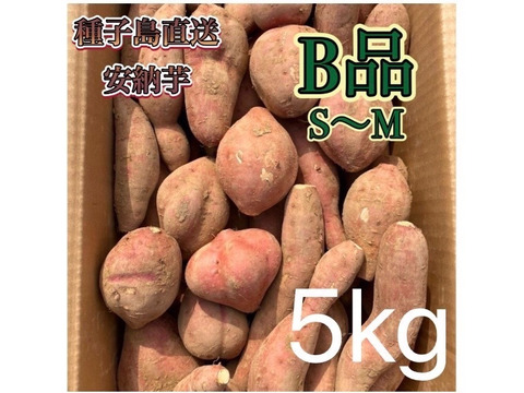 【絶品】aimo農園｜種子島産安納芋 B品(S~Mサイズ) 5kg(箱別)