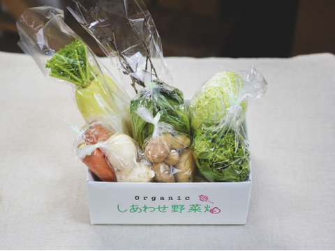 旬の有機野菜Sセット　しあわせ野菜畑（有機JAS）