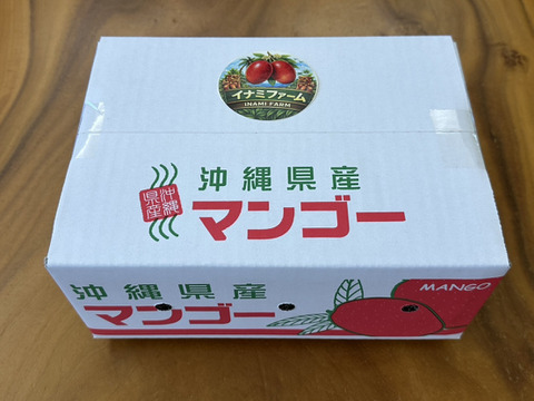 ★2026年予約開始★≪家庭用≫名護市最北端 イナミファームの家庭で楽しむ アップルマンゴー  1.5ｋg