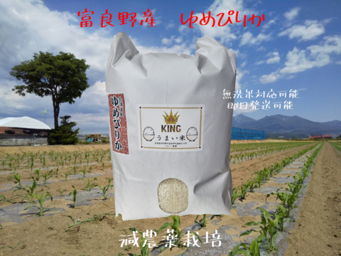 富良野 令和7年産   うまいべ ゆめぴりか【5キロ】