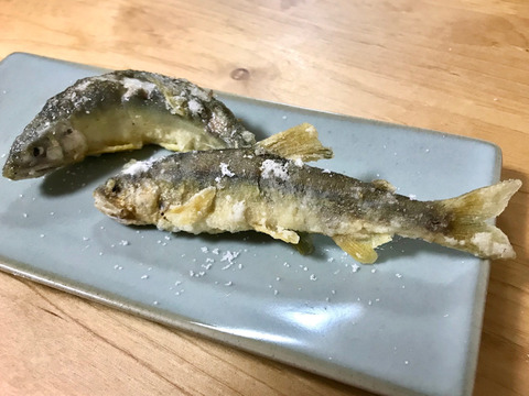 【冷凍】超レア!限定生産の【信州あゆ・小鮎】揚げ物・甘露煮・アヒージョに!(20尾入)