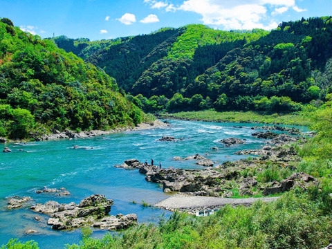 【超希少】最高級紅南高梅１ｋｇ ４Ｌサイズ以上 農薬不使用 自然栽培 四万十産
