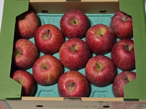 さんフジ 山形 朝日町産 小玉 りんご 約3kg   1級品 贈答用 家庭用 リンゴ