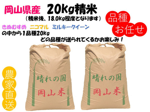品種お任せ「ミルキークイーンorにこまるorきぬむすめ」岡山県産 精米 20kg（精米後18.0kg程度でのお届けとなります）