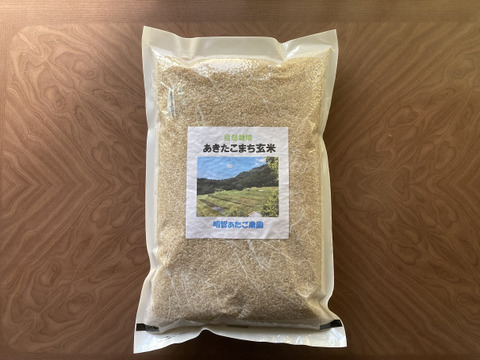 【自然栽培】あきたこまち玄米２０kg　農薬不使用・無肥料栽培　令和５年　岐阜県産
