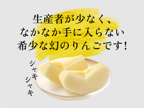 はるか 3キロ箱 6玉〜15玉サイズ  赤いサビ多いです 商品ID37617 長野県 信州 安曇野 リンゴ 幻 幻のリンゴ 予約 希少 旬