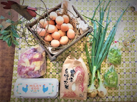 【期間限定】鶏屋の本気の親子丼☆材料フルセット！ミルキーエッグ+親鶏もも+米+野菜（小セット）
