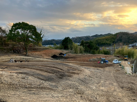 皮ごとどうぞ！瀬戸内の太陽を浴びた広島県産グリーンレモン「璃の香」(3kg/約21~30個)
