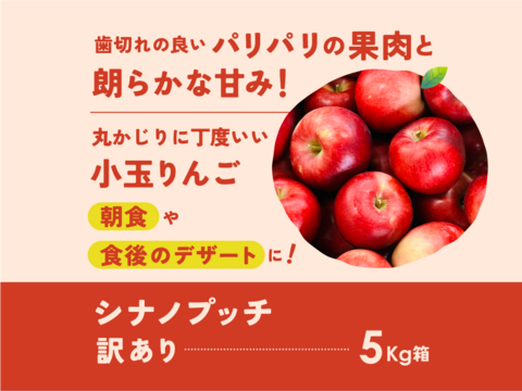 シナノプッチ5キロ箱 訳あり品 商品ID98182 長野県 信州 安曇野 リンゴ 幻 幻のリンゴ 予約 希少 旬