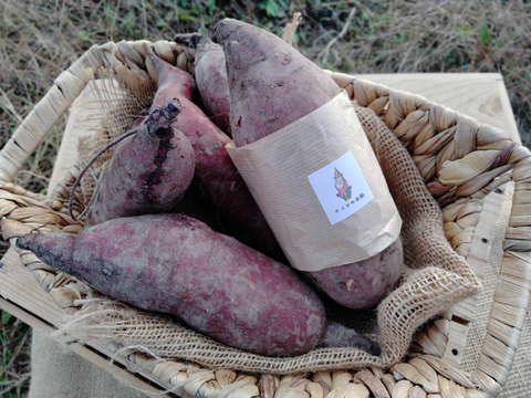 素朴な甘味！懐かしい味”ゆきこまち”1.5kg