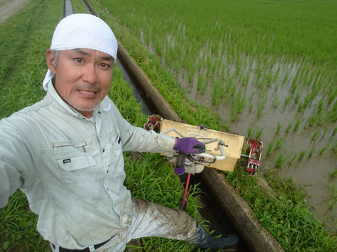 【玄米 | 5kg】米の旨味たっぷり 自然栽培米 ひとめぼれ