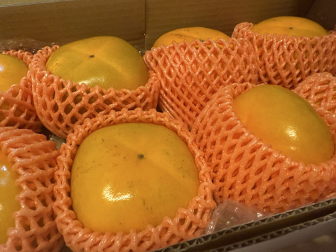 【橋本市送料無料キャンペーン】秋の味覚　和歌山のたねなし柿  贈答用　8個入り