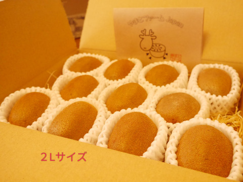 ※追熟済※寒い冬にキウイでビタミンたっぷり！奈良県室生産のこだわりプレミアムキウイフルーツ２Lサイズ
