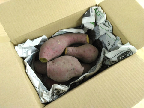 1.5kg⭐️訳あり⭐️熟成ベニアズマ⭐️《超特価！》