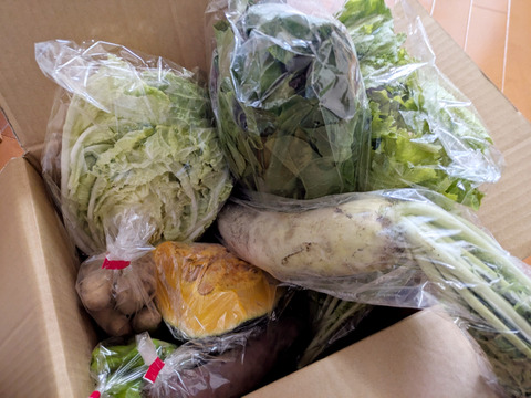 【自然栽培】高原の野菜セットS（7〜8品目）