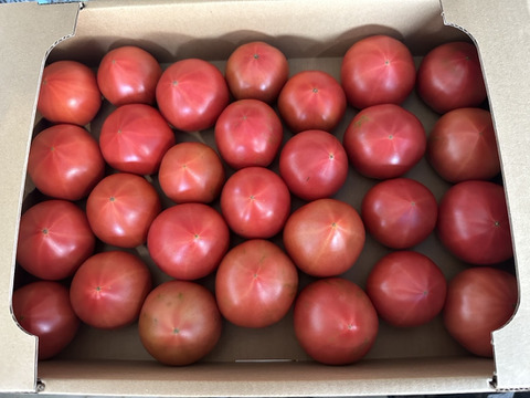 【京都の夏物語】アグリ―ジョの夏の定番野菜３品（約2kg）