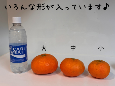 【市場にほぼ出回らない】甘平《ご家庭用 5kg》｜柑橘史上トップクラスの甘さ×“パリッと食感”｜サイズ混合｜愛媛・西宇和産