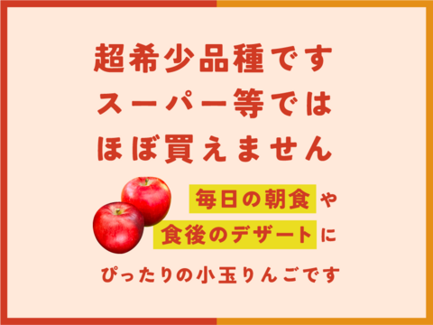 【幻の小玉第1弾】シナノプッチ3キロ箱 新しい定番 〜21 商品ID41124 長野県 信州 安曇野 リンゴ 幻 幻のリンゴ 予約 希少 旬