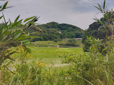 【脳内が幸せホルモンで満ち溢れる美味しさ】海外セレブもひと口で虜にしたあか村黒毛和牛ブランドすき焼きカット約300g☆焼肉・BBQにも☆【家庭用・贈り物・バーベキュー】【冬ギフト】