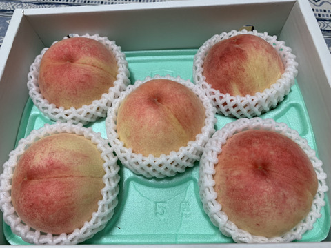 あら川の桃 まさひめ 小箱(5～7玉)