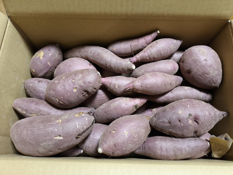 完熟❣大分県産　紅はるかs～Lサイズ　（５㌔）