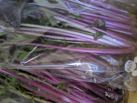 🎃🍁秋の野菜セット🍁🎃