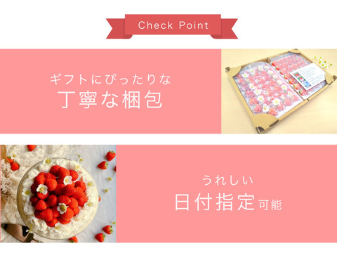 子どもが喜ぶ夏イチゴ☆7月限定の超大粒☆(2025年7月お届け)