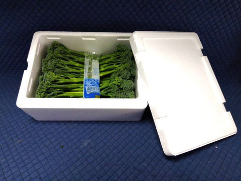 『スティックセニョール』500g　30本前後