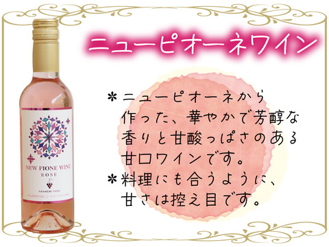 花笑み農園　シャインマスカットと加工品セット（ピオーネジャム＆飲む酢＆ピオーネワイン）【9/23～順次発送】S-JWN