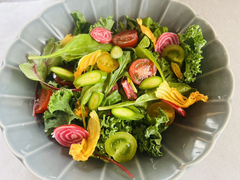 【月・金曜発送便】ココロ躍る🌈おまかせ野菜セット【さいたま市産】