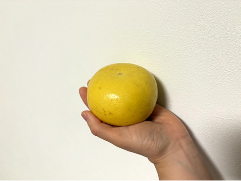 ♨️ゆず湯もいいけど文旦風呂はいかがでしょうか？♨️　超ミニサイズの土佐文旦（150～350g）　マーマレードやピール作りにも使えます✨　4.3kg（15～18個入)