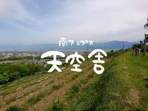 【7月下旬】かたい桃「なつっこ」約2kg・6～8玉１箱山梨県南アルプス上宮地産