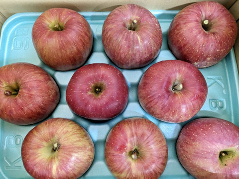 あいかの香り　長野県産りんご3kg 6〜13玉