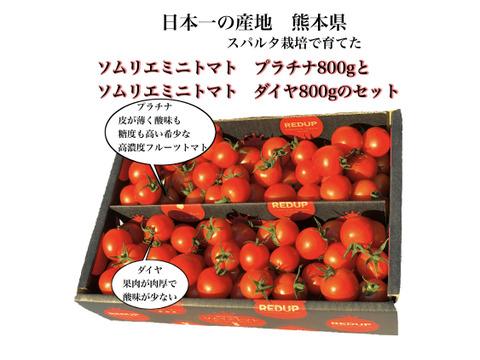 【食べ比べ】ソムリエミニトマト　プラチナ800gとダイヤ800gのセット