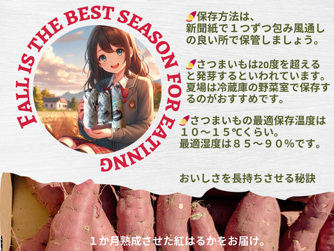 磐田の恵みネットリ甘い紅はるかL(10kg）